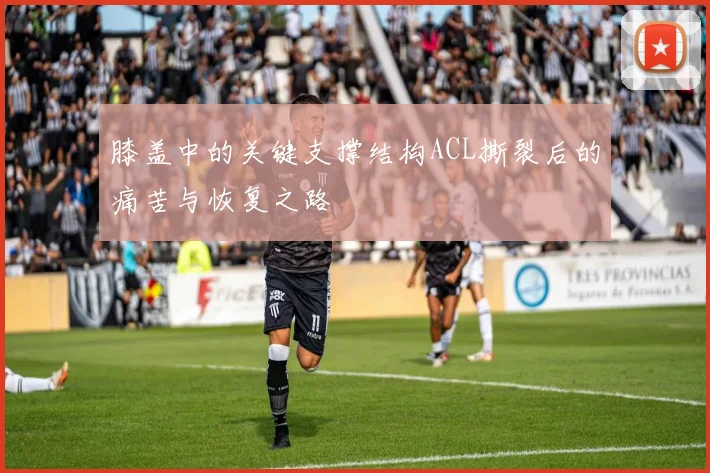 膝盖中的关键支撑结构ACL撕裂后的痛苦与恢复之路