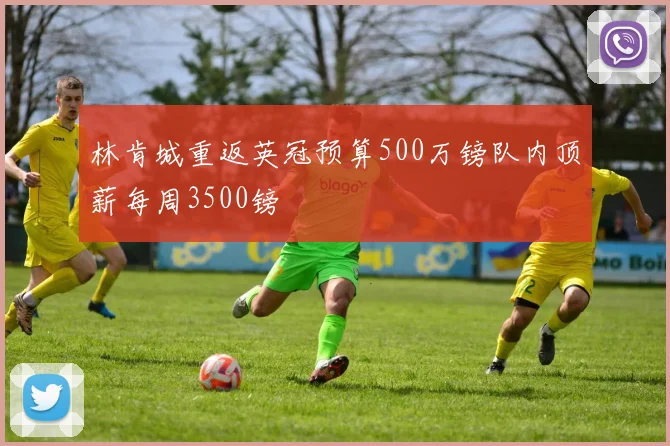 林肯城重返英冠预算500万镑队内顶薪每周3500镑