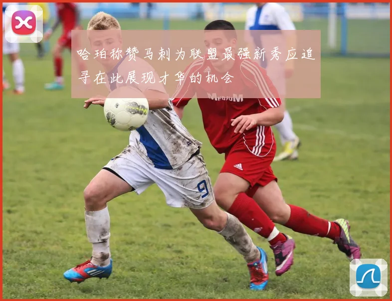 哈珀称赞马刺为联盟最强新秀应追寻在此展现才华的机会